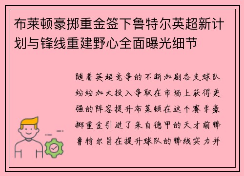 布莱顿豪掷重金签下鲁特尔英超新计划与锋线重建野心全面曝光细节