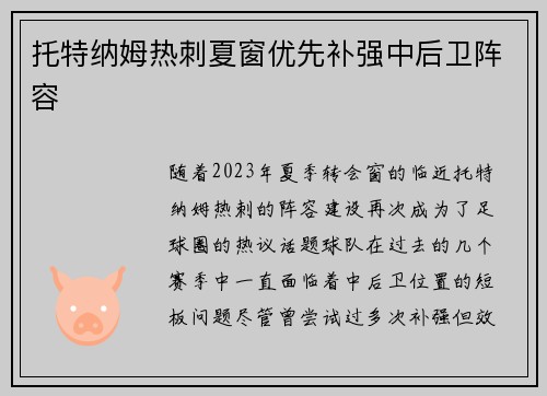 托特纳姆热刺夏窗优先补强中后卫阵容