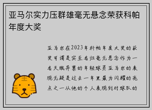 亚马尔实力压群雄毫无悬念荣获科帕年度大奖 亚马尔实力压群雄毫无悬念荣获科帕年度大奖