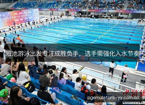 短池游泳出发专注成胜负手，选手需强化入水节奏